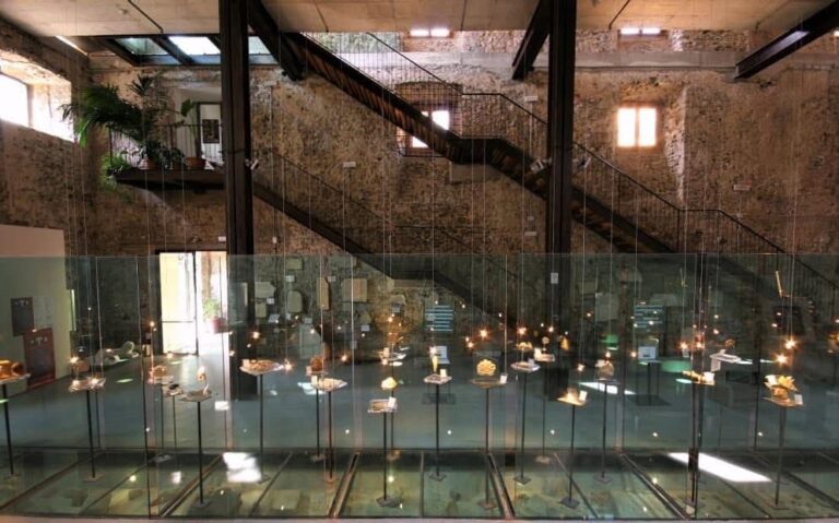 Scopri di più sull'articolo Dona il sangue, ricevi cultura: ingresso omaggio al Museo Tuscolano per i donatori Avis